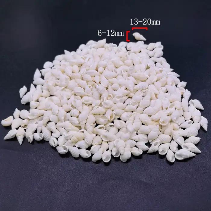 Pierres Naturelles, Cristaux, Copeaux de Quartz, Gravier, Petites Coquilles Marines, Minerais en Vra
