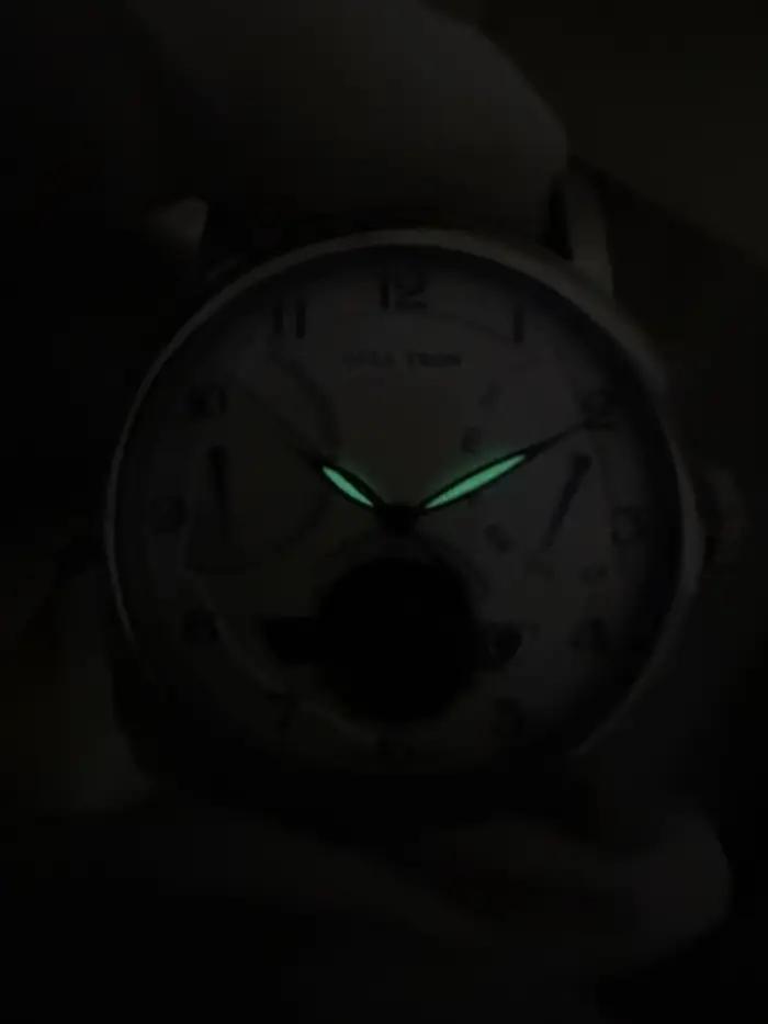 Montre mécanique automatique de luxe pour homme GULL TRON